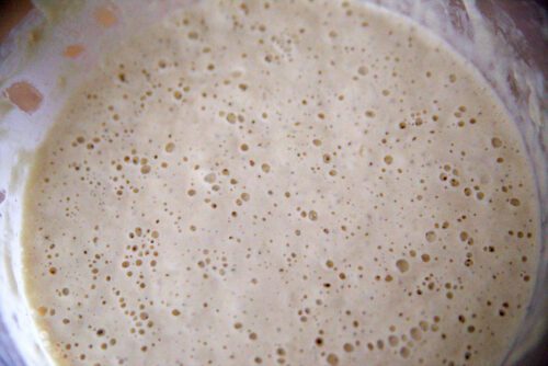 active and bubbly sourdough starter 