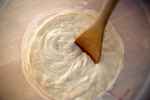 sourdough starter 