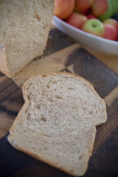 slice of sourdough bread baked with fresh milled flour