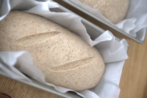 sourdough bread scored