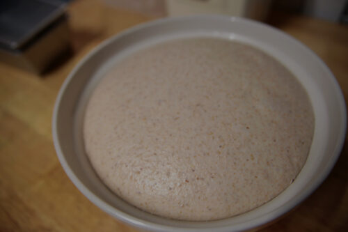 bulk fermentation sourdough