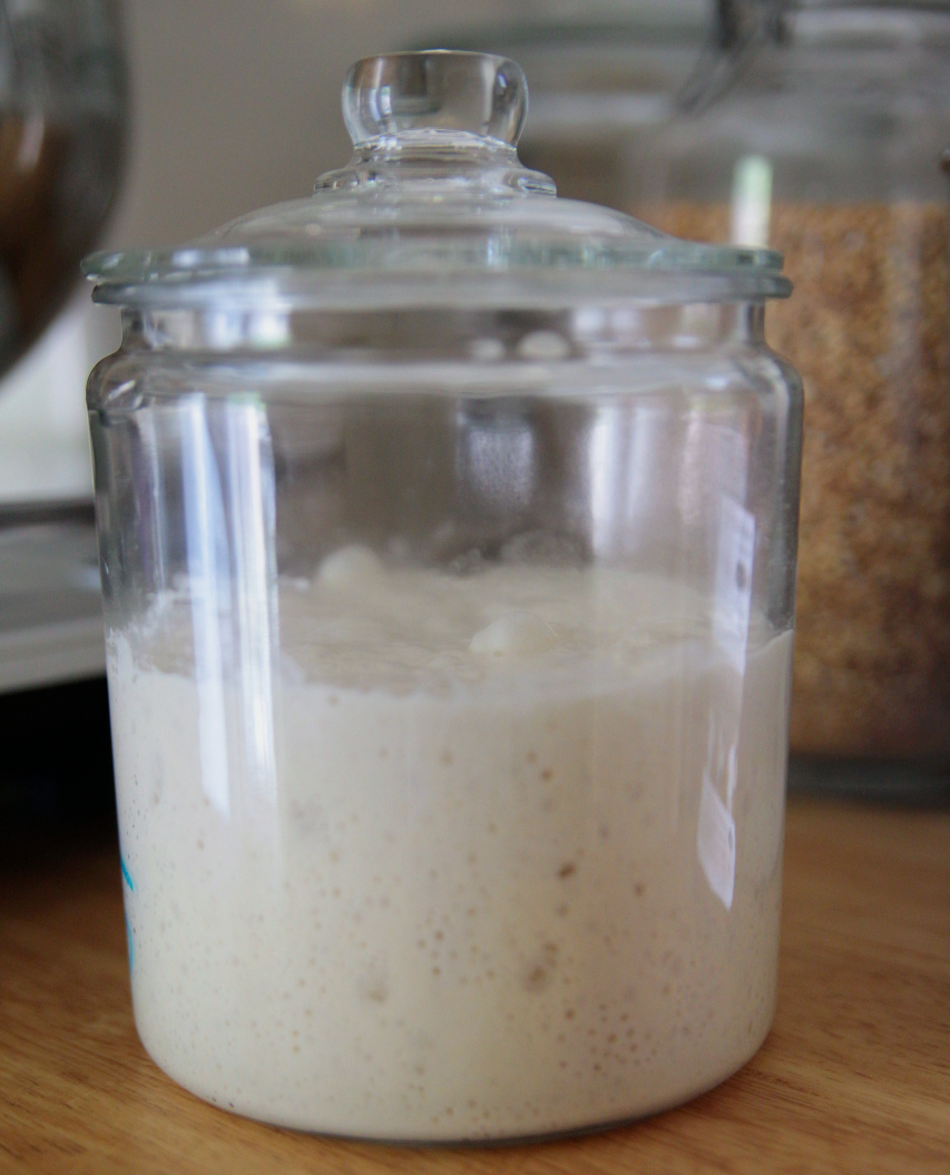 What Sourdough Taught Me About Purpose