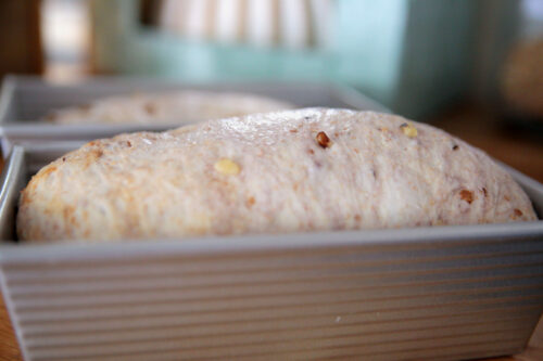 sourdough bread rising